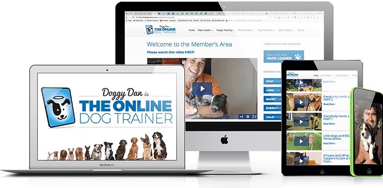 Online Dog Trainer