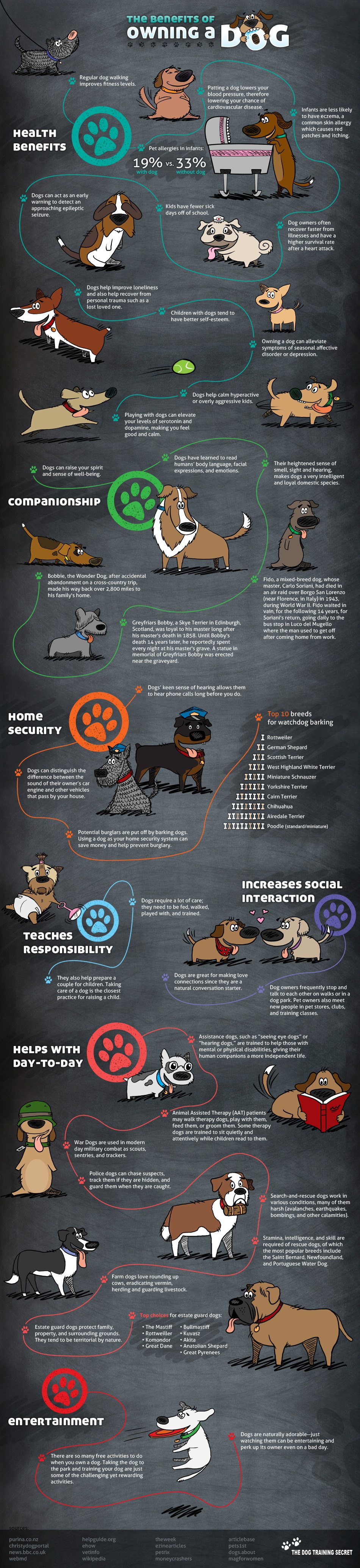 Discover The Amazing Health Benefits Of Owning a Dog