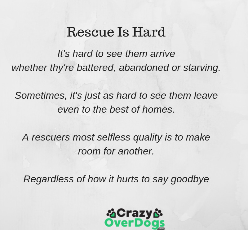 Rescue Is Hard Poem