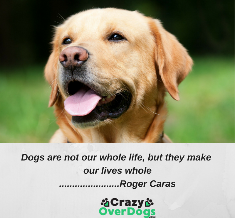 Dogs are not our whole life, but they make our lives whole...........Roger Caras