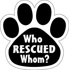 Imagine This Who Rescued Who Paw Shaped Car Magnet