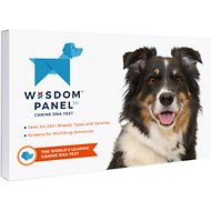 Best DNA Testing Kits For Dogs