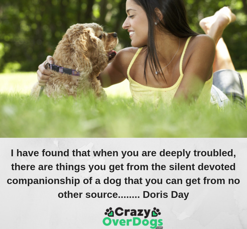 I have found that when you are deeply troubled, there are things you get from the silent devoted companionship of a dog that you can get from no other source........ Doris Day
