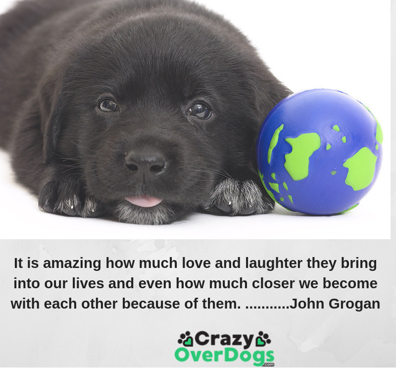 It is amazing how much love and laughter they bring into our lives and even how much closer we become with each other because of them.” ...... John Grogan