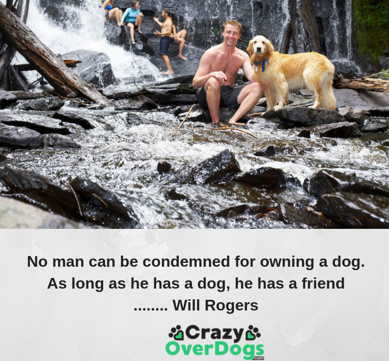 No man can be condemned for owning a dog. As long as he has a dog, he has a friend ........ Will Rogers