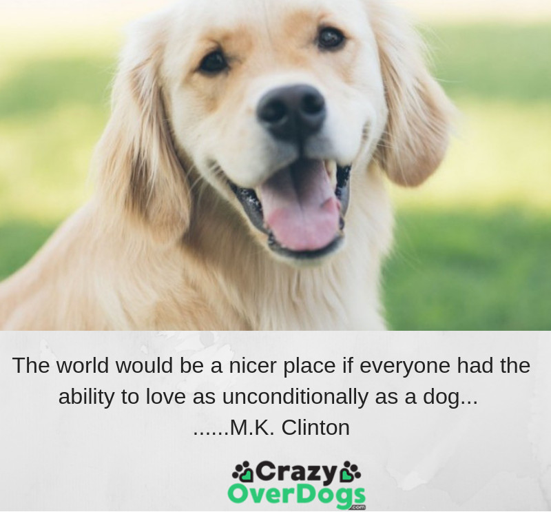 The world would be a nicer place if everyone had the ability to love as unconditionally as a dog......... M.K. Clinton