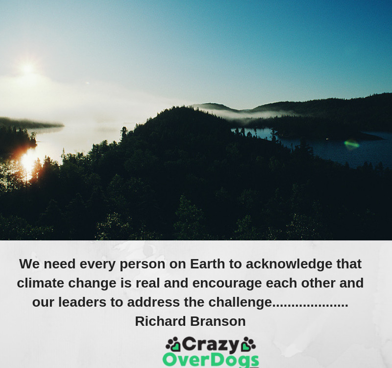 Eco Friendly Dog Products - We need every person on Earth to acknowledge that climate change is real and encourage each other and our leaders to address the challenge............Richard Branson