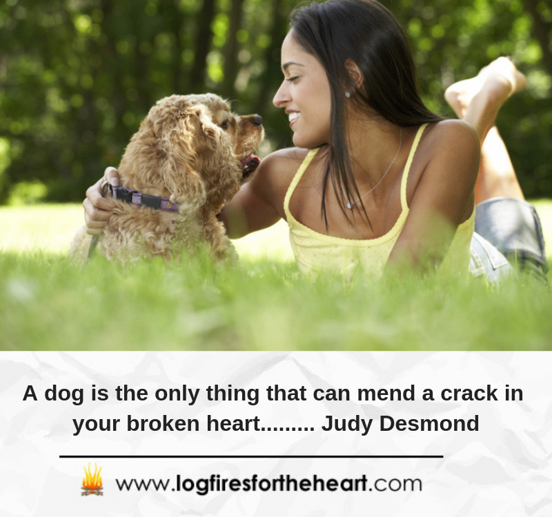 Inspirational Dog Quotes -  A dog is the only thing that can mend a crack in your broken heart ......... Judy Desmond