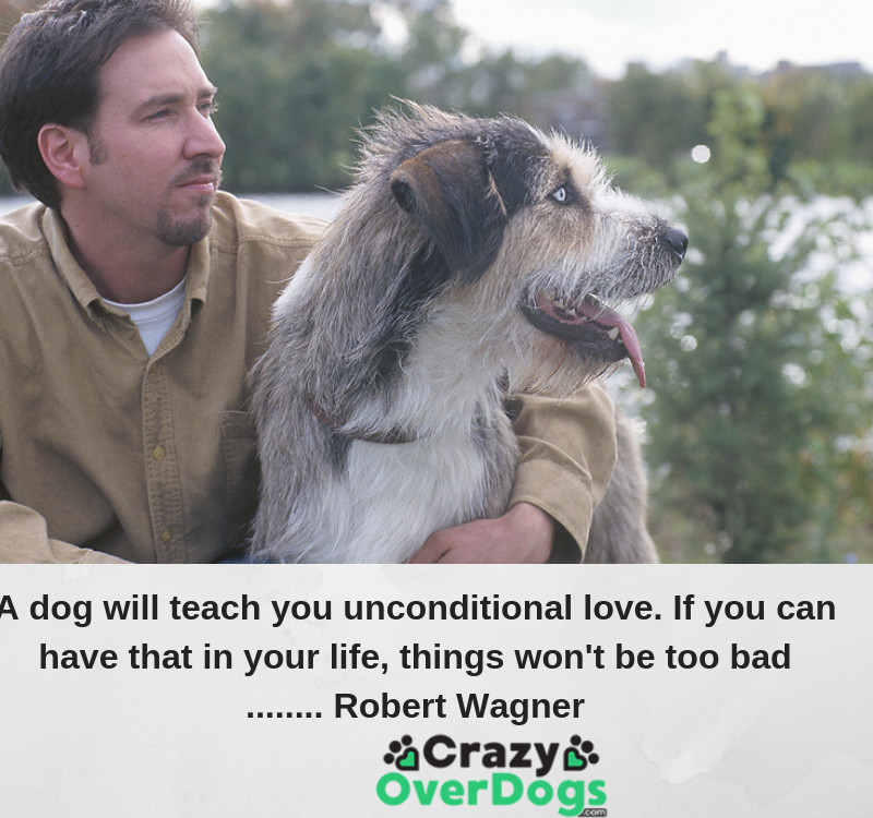 A dog will teach you unconditional love. If you can have that in your life, things won't be too bad.....Robert Wagner