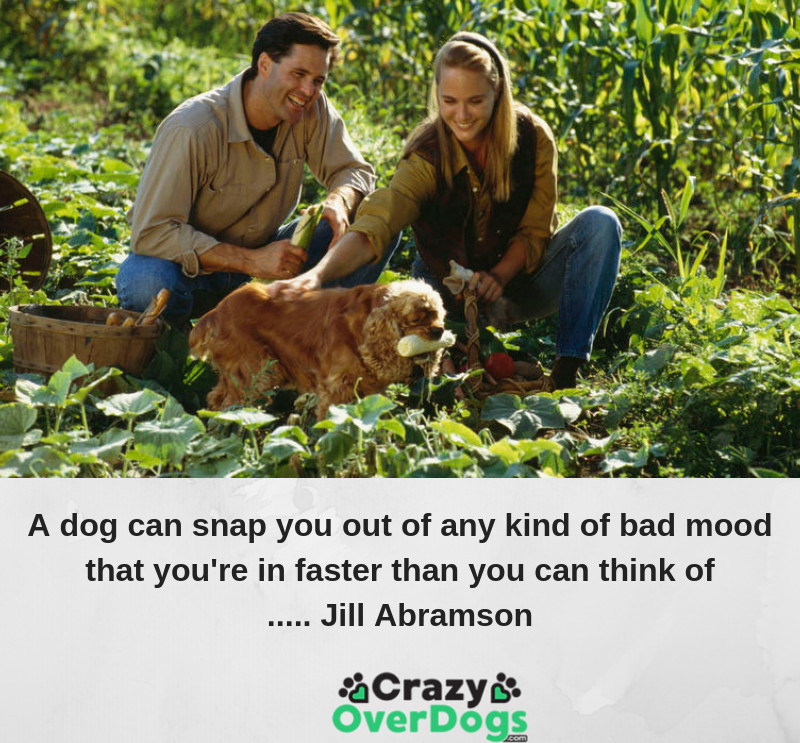 Inspirational Dog Quotes- You know, a dog can snap you out of any kind of bad mood that you’re in faster than you can think of..........  Jill Abramson