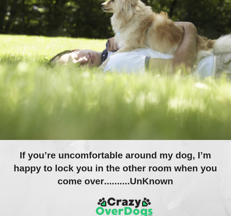 Funny Dog Quotes