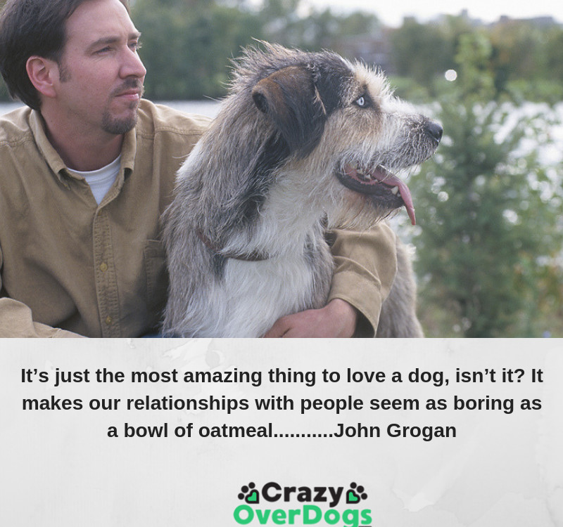 best inspirational dog quote - It’s just the most amazing thing to love a dog, isn’t it? It makes our relationships with people seem as boring as a bowl of oatmeal...........John Grogan
