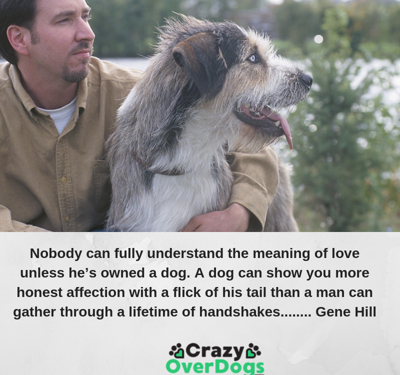 Nobody can fully understand the meaning of love unless he’s owned a dog. A dog can show you more honest affection with a flick of his tail than a man can gather through a lifetime of handshakes........ Gene Hill Nobody can fully understand the meaning of love unless he’s owned a dog. A dog can show you more honest affection with a flick of his tail than a man can gather through a lifetime of handshakes........ Gene Hill