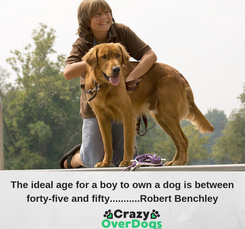  The ideal age for a boy to own a dog is between forty-five and fifty...........Robert Benchley