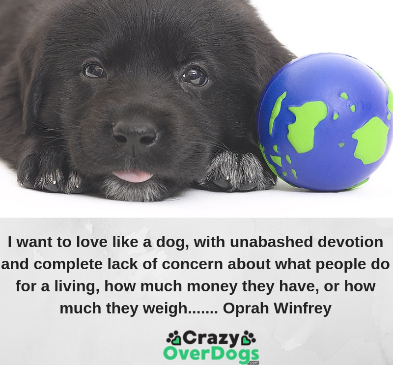 oprah winfrey dog quote