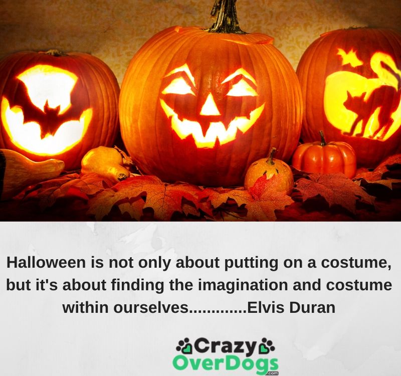 Inspirational Halloween Quotes and Sayings