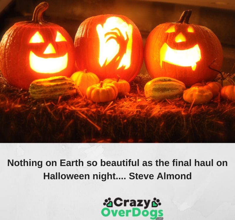 Inspirational Halloween Quotes and Sayings