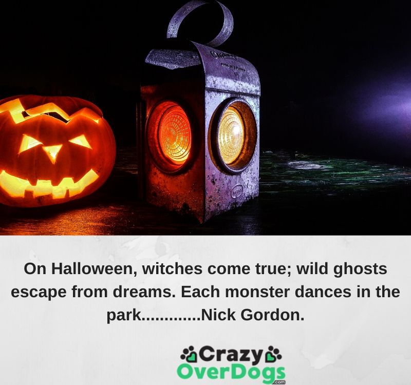 On Halloween, witches come true; wild ghosts escape from dreams. Each monster dances in the park.............Nick Gordon.
