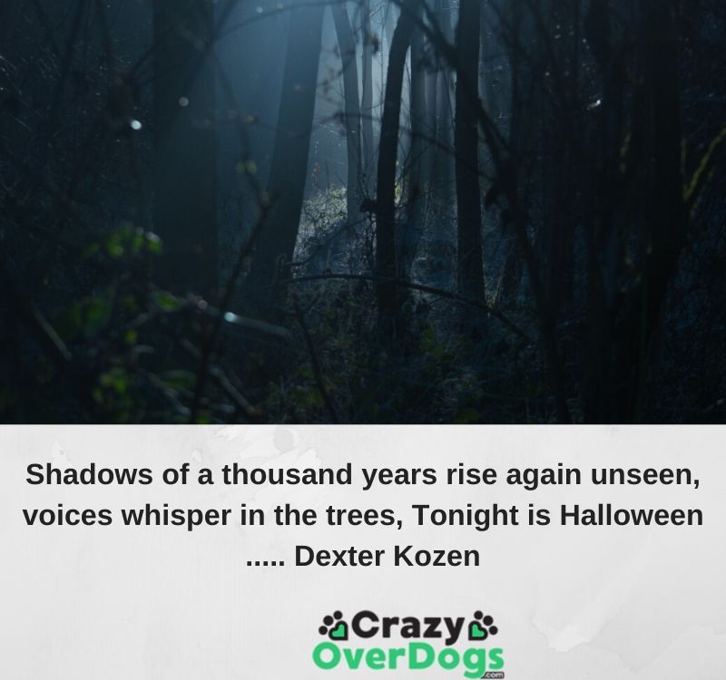 Shadows of a thousand years rise again unseen, voices whisper in the trees, Tonight is Halloween..... Dexter Kozen