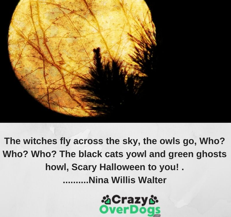 Inspirational Halloween Quotes and Sayings