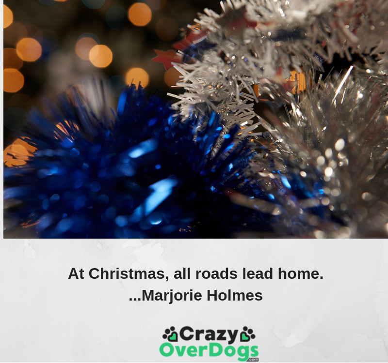 At Christmas, all roads lead home. - Marjorie Holmes