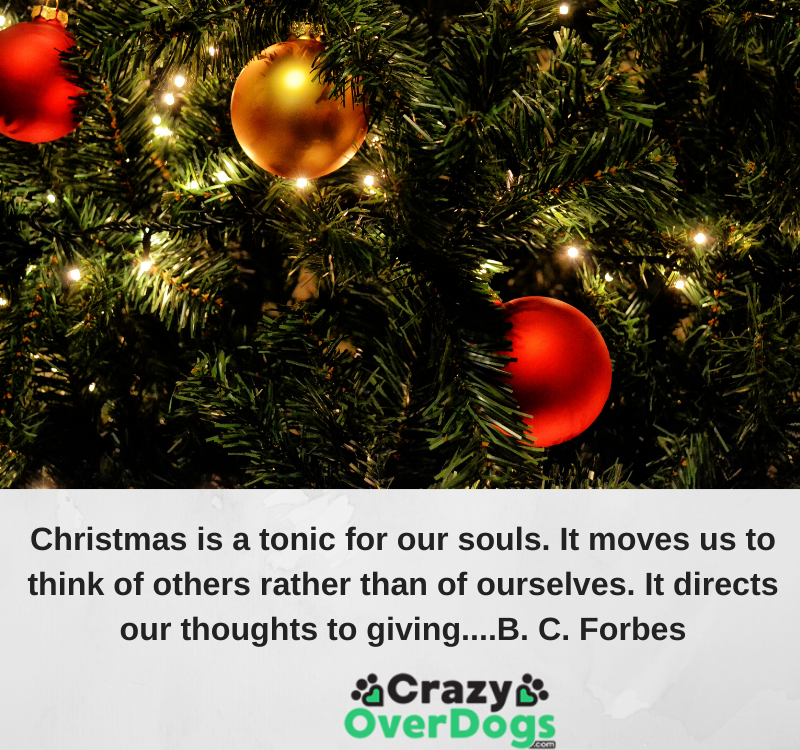 Christmas is a tonic for our souls. It moves us to think of others rather than of ourselves. It directs our thoughts to giving....B. C. Forbes