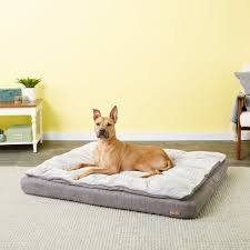 Best Orthopedic Dog Beds 
