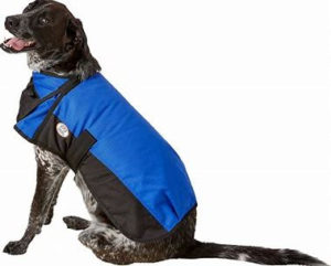 best dog rain coats 