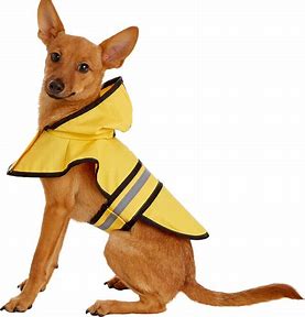 best dog rain coats