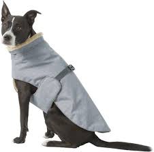 best dog rain coats