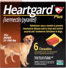 Best Heartworm Prevention For Dogs - Heartgard Plus Chewable Tablets for Dogs, 51-100 lbs: