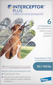 Best Heartworm Prevention For Dogs - Interceptor Plus Chewable Tablets for Dogs, 50.1-100 lbs, 6 treatments