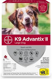 Best Flea and Tick Products for Dogs