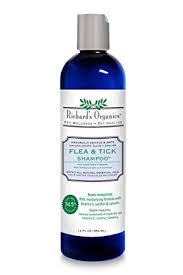 Best Flea and Tick Shampoo for Dogs
