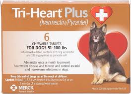 Best Heartworm Prevention For Dogs - Tri-Heart Plus Chewable Tablets for Dogs, 51-100 lbs: