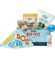 Best Gifts For Dog Lovers - Goody Box Birthday Toys