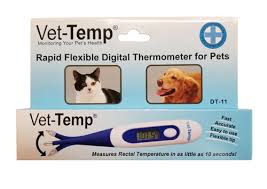 dog first aid supplies - vet temp