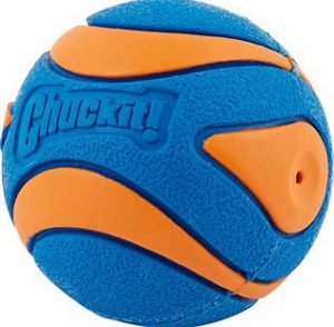 Interactive Dog Toys - Chuckit! Ultra Squeaker Ball: