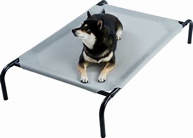 best new dog products - elevated dog bed