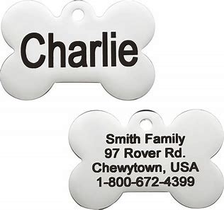  dog tags - GoTags Personalized Stainless Steel ID Tag, Bone