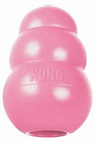 Interactive dog toys - KONG Puppy Dog Toy: