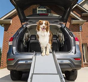 best new dog products - Pet Ramp: