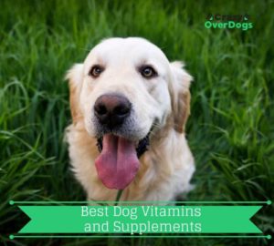 Best Dog Vitamins and Supplements - 2020 Buying Guide Best Dog Vitamins and Supplements - 2020 Buying Guide