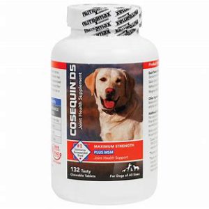 dog vitamins and supplements