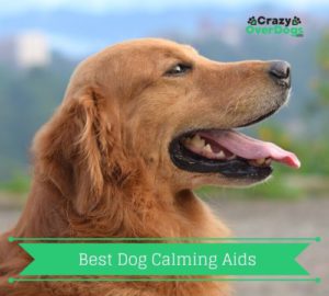 Best Dog Calming Aids 