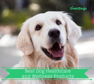 Best Dog Healthcare and Wellness Products