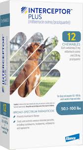 Best Dog Health Care and Wellness Products 
