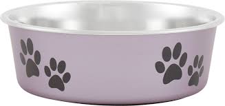 best dog bowls and dog feeders