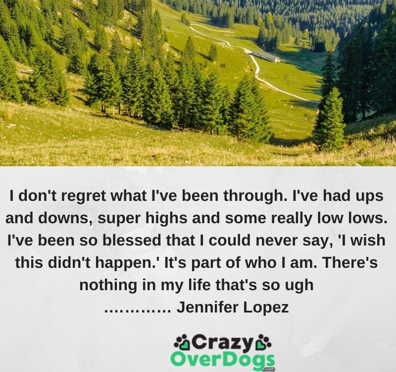 I don't regret what I've been through. I've had ups and downs, super highs and some really low lows. I've been so blessed that I could never say, 'I wish this didn't happen.' It's part of who I am. There's nothing in my life that's so ugh.………… Jennifer Lopez