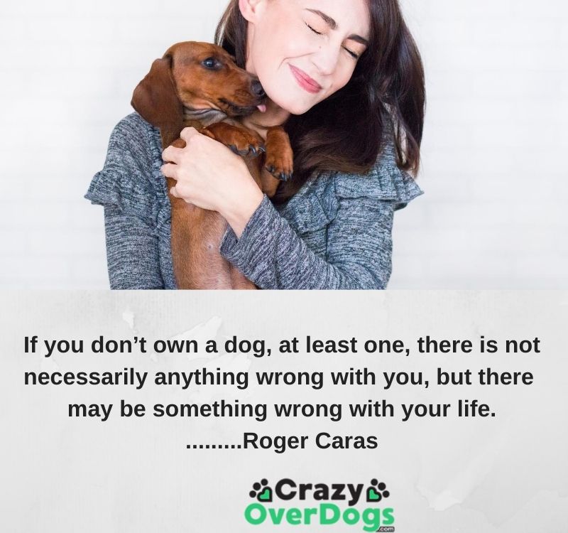 Inspirational Dog Quotes-  If you don’t own a dog, at least one, there is not necessarily anything wrong with you, but there may be something wrong with your life..........Roger Caras
